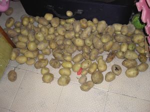 女生节为何是3月7号|beat365官网(图5) beat365亚洲体育官方网站