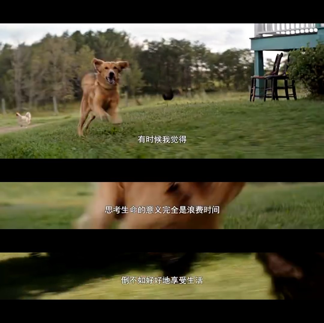 
刚亮相冬窗不买人 联赛立马就爆冷 状态起伏较大 联赛冠军还稳？_beat365