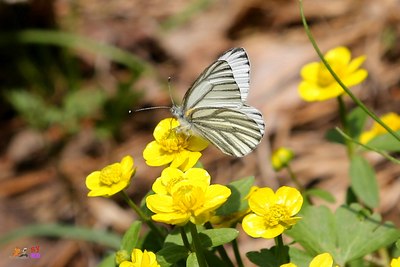 2020时尚青岛系列评选运动正式启动 快来投票吧!‘beat365亚洲体育官方网站’(图1) beat·365