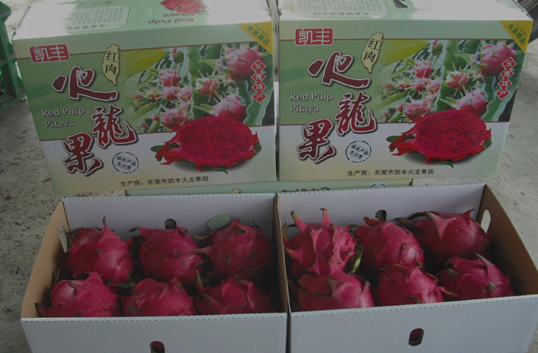 刘嘉远:红牛以逸待劳,热刺背水一战,次回合了局如何?-beat·365(图1) beat·365