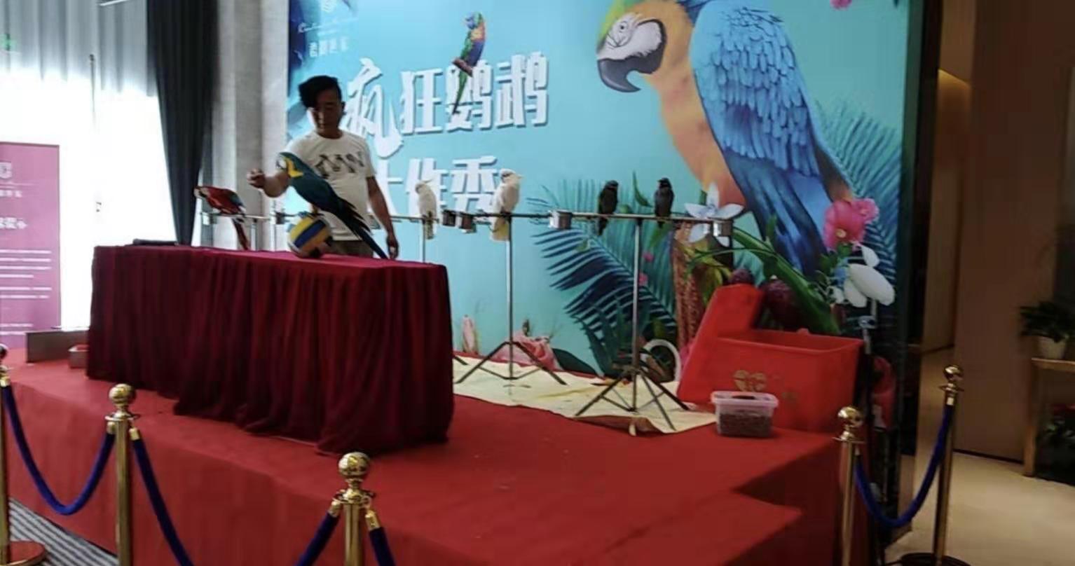 beat365亚洲体育官方网站