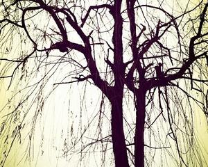 beat365亚洲体育官方网站