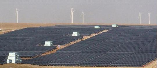 沧滩社区:开展志愿服务 创建美丽建德-beat·365(图3) beat·365