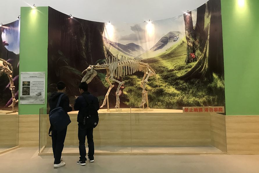 beat365亚洲体育官方网站|贵州都匀市沙包堡开展木材加工企业安全生产大检查(图2) beat365亚洲体育官方网站